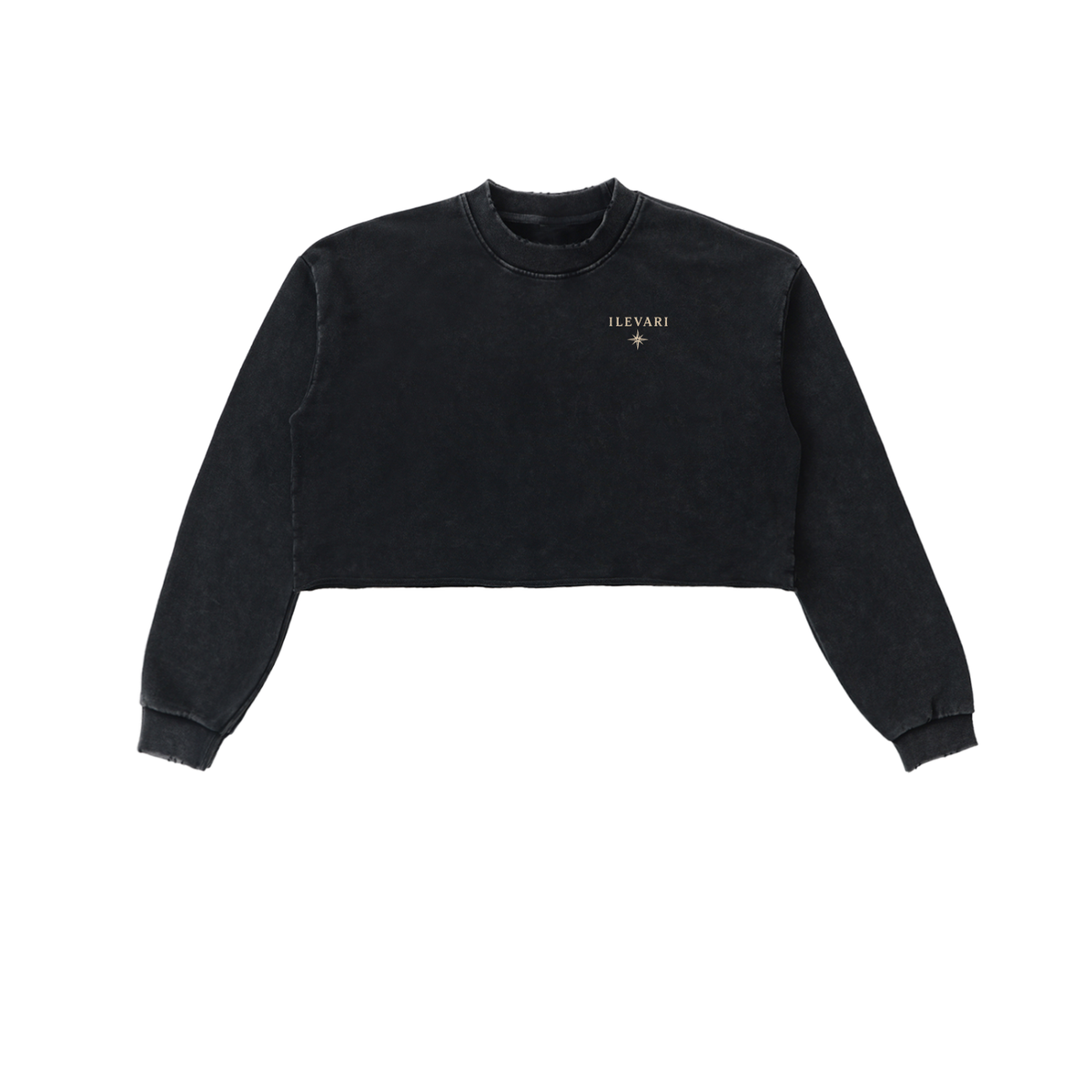 Ilevari,croppedsweatshirt,compassstar,snowwashsweatshirt,rawedgesweatshirt,vintagestreetwear,womenssweatshirt,oversizedbackprint,findyourpath,selfcare